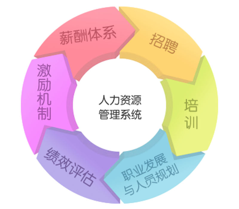 企业管理咨询:把握机遇,应对挑战